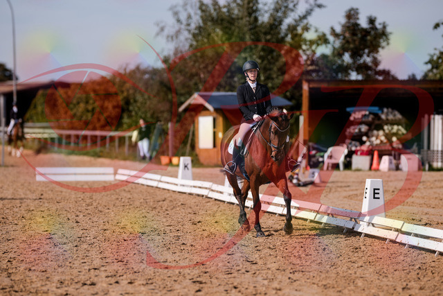 2026_10_03_Siefer-Hof_130741_Z81_58608001 | Professionelle Reitsport-, Turnier- und Eventfotografie von Robert Broda. Galerien mit ausgewählten und bearbeiteten Bildern direkt online ansehen und bestellen.
