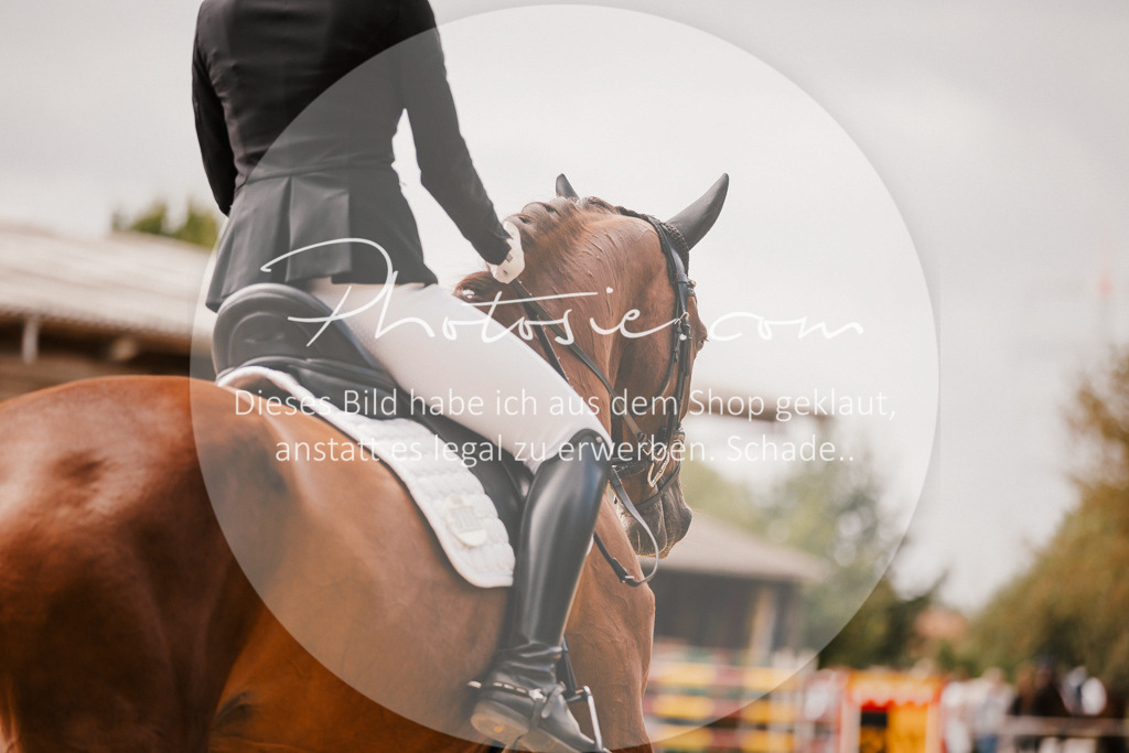 3I6A6219 | Stimmungsvolle Portraits und Reitsportfotografie im Ruhrgebiet und im Münsterland.

Pferdefotografie, Hundefotografie, Tierfotografie, Reportagen, Portraits von Tier und Mensch, Turnierfotografie in Bochum, Recklinghausen, Marl, Haltern am See, Dülmen.. - Realisiert mit Pictrs.com