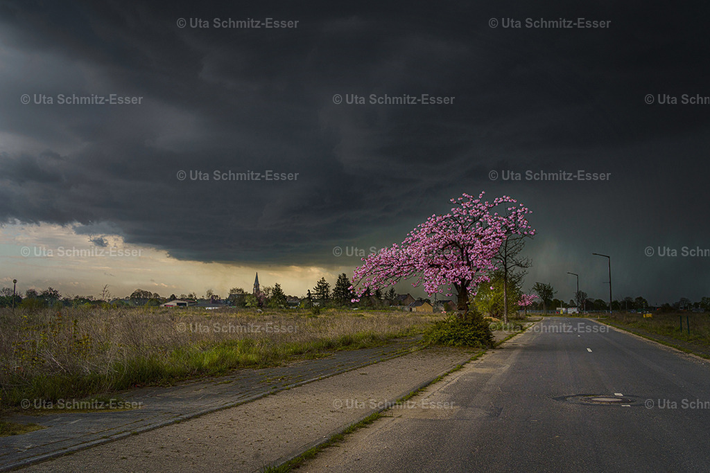 Manheim_23_02 | CEUS Design - Realisiert mit Pictrs.com