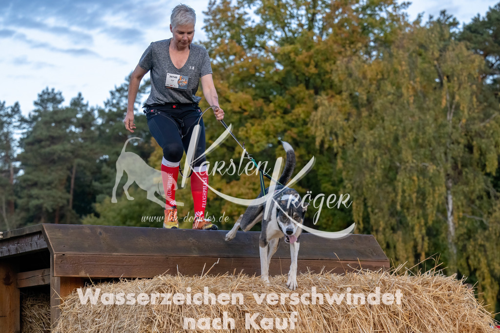 0811_ZZ94659-Bearbeitet | kk-dogfotos