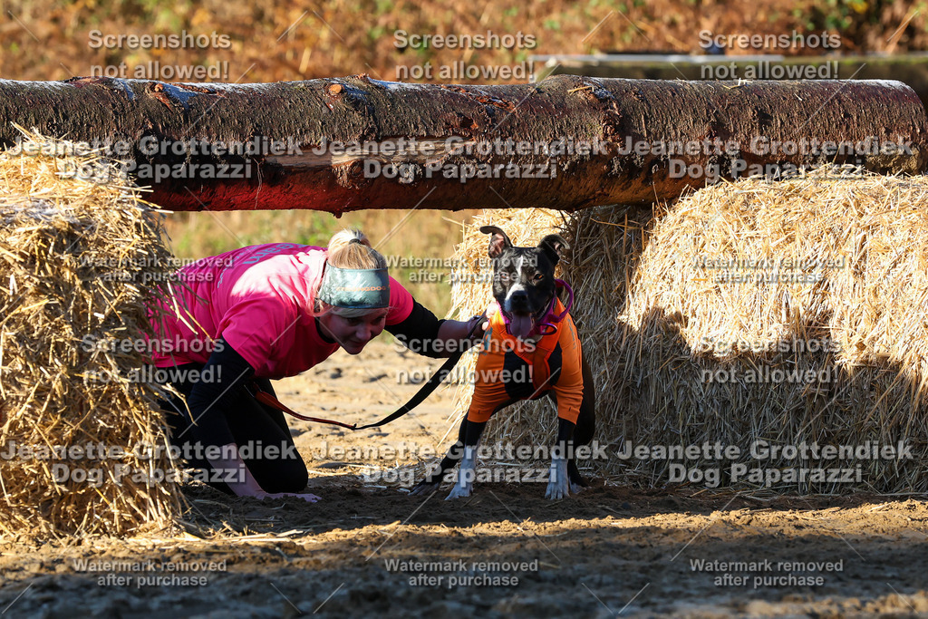 Dog Paparazzi - Strongdog 10-25-853 | Dog Paparazzi Jeanette Grottendiek Fotografie & Videografie - Realisiert mit Pictrs.com