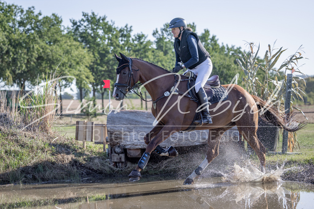 20260906-_3LI1263 | Tierfotografie Pferde, Hunde, Katzen, Haustiere.
Turnierfotografie Reitturniere, Reiten, Springreiten, Dressur in Hanau, dem Main-Kinzig-Kreis und dem Rhein-Main- Gebiet um Frankfurt