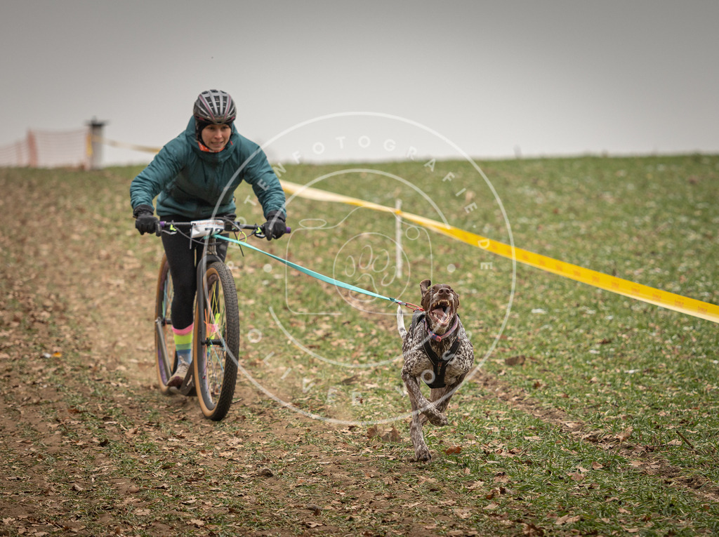Pfotenfotografie_DV3A3568 | Hundefotografie, Tierfotograf, Pfotenfotografie, Fotoshooting Hund, Hunde Portrait, Hundesport, Hundeportraits, Heideshooting, Hunde, Sportfotograf, Hundefotograf, Turnierhundsport, THS,  - Realisiert mit Pictrs.com