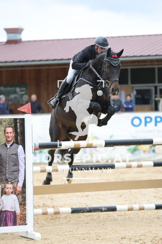 0P6A3568 | Willkommen bei Brunnmayr - Design & Fotografie – Ihrem Spezialisten für Reitturniere und Pferdeveranstaltungen in Oberösterreich, Salzburg und Bayern! Seit über 17 Jahren sind wir leidenschaftlich dabei.