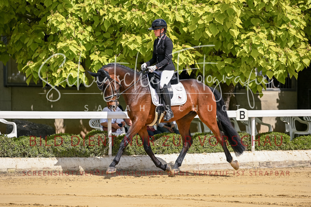 Schugtsche-Aluta25-48.Reitpferfdeprf.-17 | Schugtsche Fotografie - Realisiert mit Pictrs.com