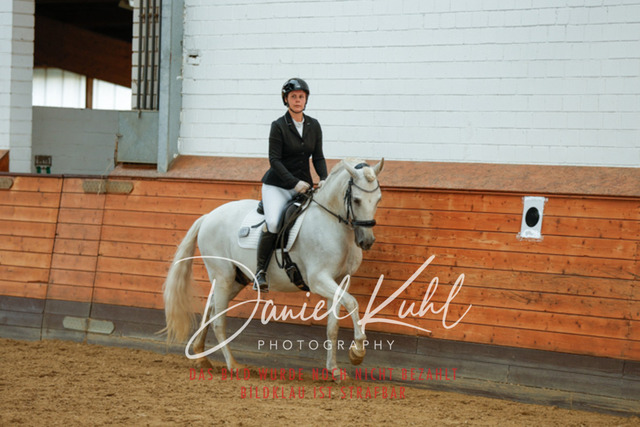 _62_7553 | Turniersportfotografie; Pferdefotografie; Dressurfotografie