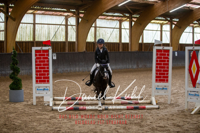 IMG_1731 | Turniersportfotografie; Pferdefotografie; Dressurfotografie