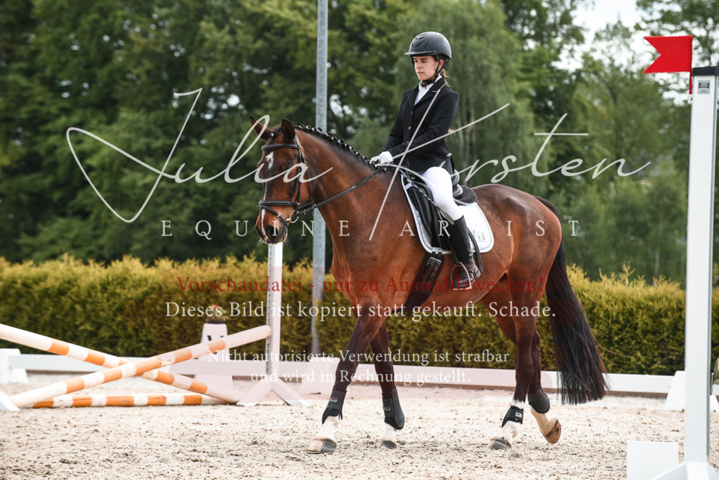 20230518_JK-Röhrsdorf-10-193 | Pferde- und Turnierfotografie in Westsachsen. Pferdeportraits, Auftragszeichnungen und intuitive Kunst.