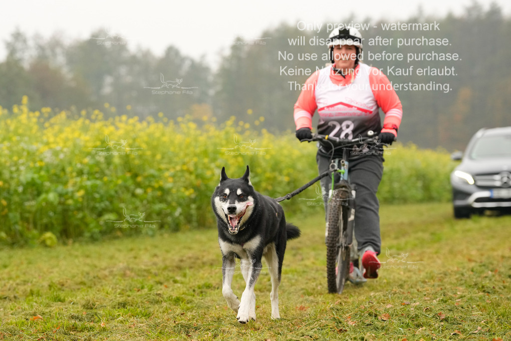 Visbeck_Sa_Scooter_Hc-128 | stephaniefillaphotographie - Realisiert mit Pictrs.com