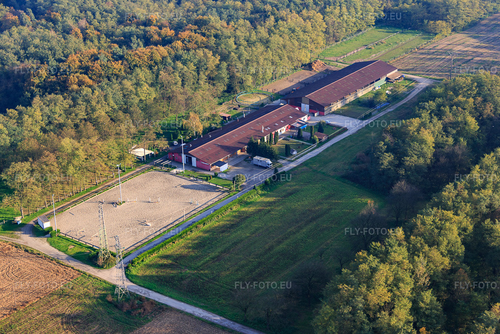 Vue aérienne: À Den Meyerhof avec la Ferme des Acacias à Schaffhouse-près-Seltz dans le département Bas Rhin, France – .Photo: IMG_075695.jpg prise le 01/11/2014 par Werner Riehm/FLY-FOTO.eu – Résolution de l'original: 5472 x 3648 px