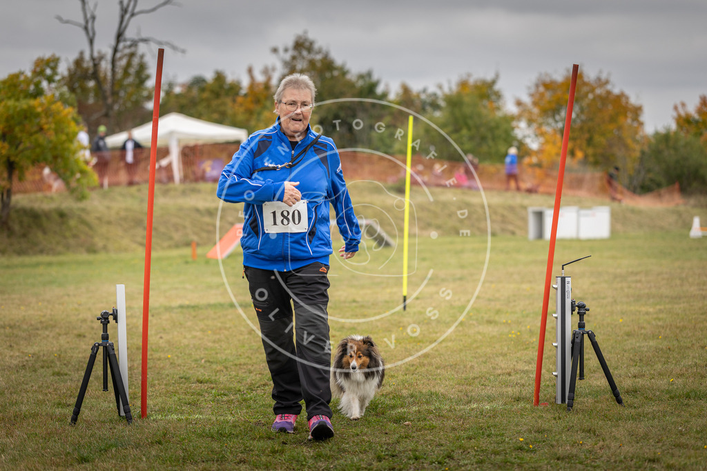 Pfotenfotografie_DV3A5342 | Hundefotografie, Tierfotograf, Pfotenfotografie, Fotoshooting Hund, Hunde Portrait, Hundesport, Hundeportraits, Heideshooting, Hunde, Sportfotograf, Hundefotograf, Turnierhundsport, THS,  - Realisiert mit Pictrs.com