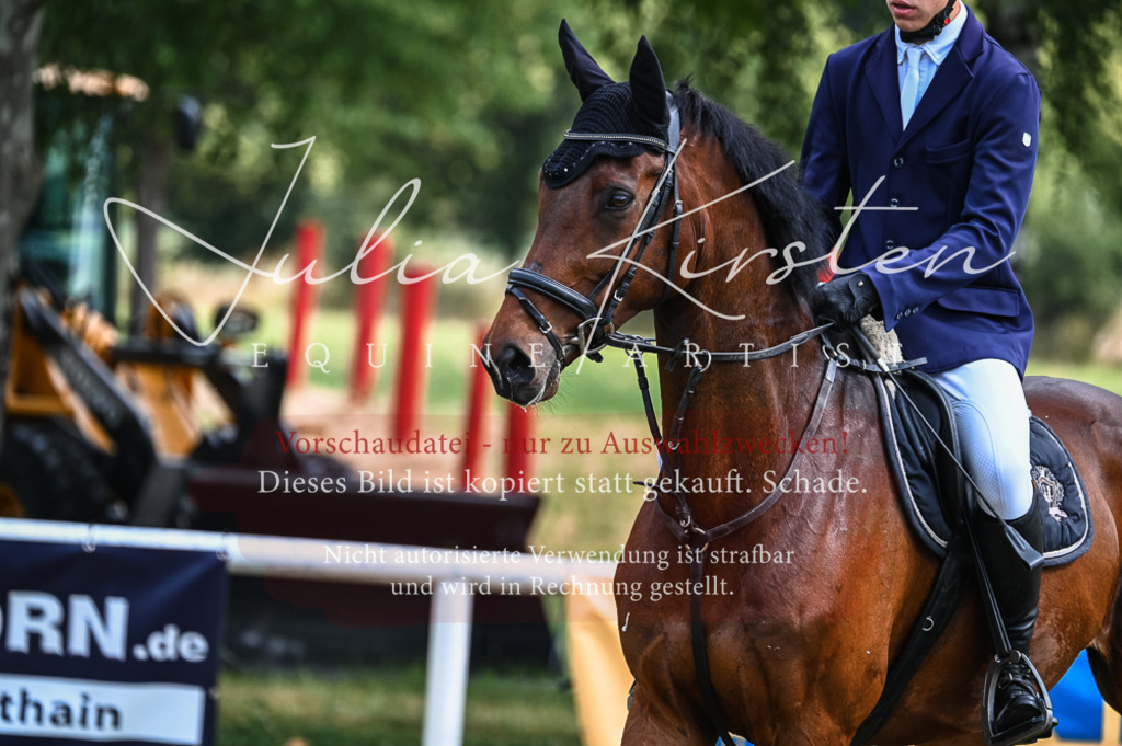 DSC_8381 | Pferde- und Turnierfotografie in Westsachsen. Pferdeportraits, Auftragszeichnungen und intuitive Kunst.
