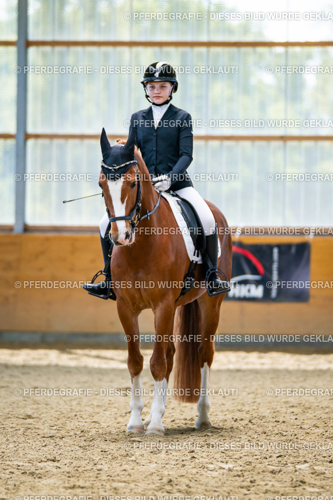 DSC05319 | Pferdegrafie