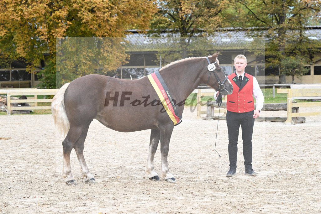 Kat-Nr. 107 Fiona vom Schmalzenhof_Neumaier_53223503 | hf-fotografie - Realizzato con Pictrs.com