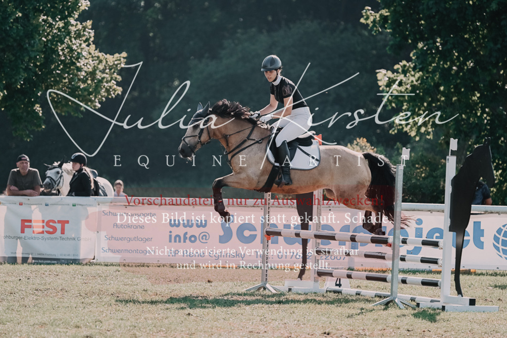 DSC_4843 | Pferde- und Turnierfotografie in Westsachsen. Pferdeportraits, Auftragszeichnungen und intuitive Kunst.