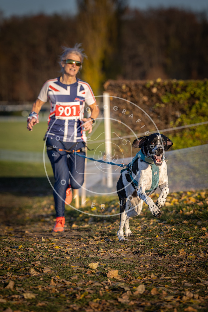 CaniXpix_DV3A4621 | Hundefotografie, Tierfotograf, Pfotenfotografie, Fotoshooting Hund, Hunde Portrait, Hundesport, Hundeportraits, Heideshooting, Hunde, Sportfotograf, Hundefotograf, Turnierhundsport, THS,  - Realisiert mit Pictrs.com