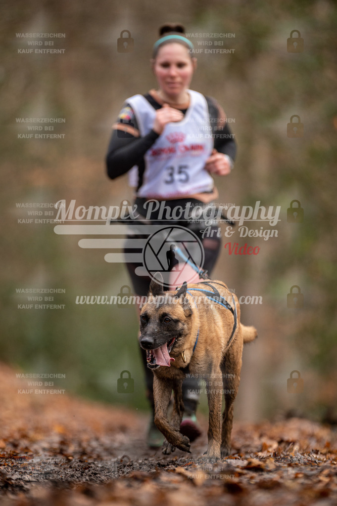 SPA_2023_DIM_CCL-112 | PayLife