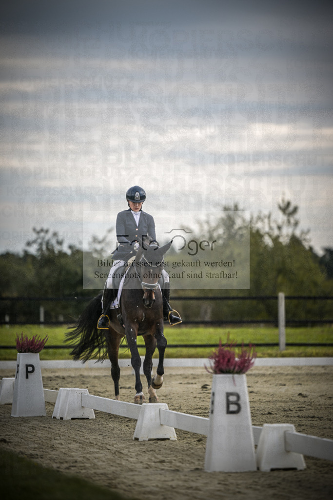 DOS_1495 | Entdecke hochwertige Reitturnierfotos von Foto Oger. Professionell, emotional und authentisch – jetzt Lieblingsmomente im Shop bestellen.Deutschlandweite Turnierfotografie. - Realisiert mit Pictrs.com