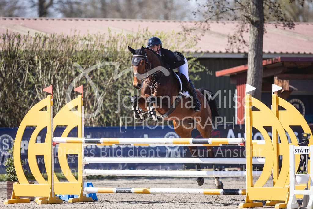 250408_Mühlen_SprPf-L-367 | Deine schönsten Turniermomente als professionelle Fotos! Entdecke hochwertige Pferdesport-Fotografie im Online-Shop. Jetzt Fotos finden & bestellen!