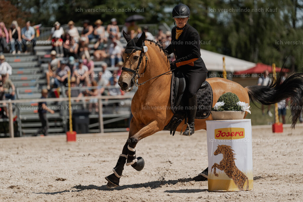 WE_SP_Stoib_319_PI2025_1747 | Pferd International München 2025