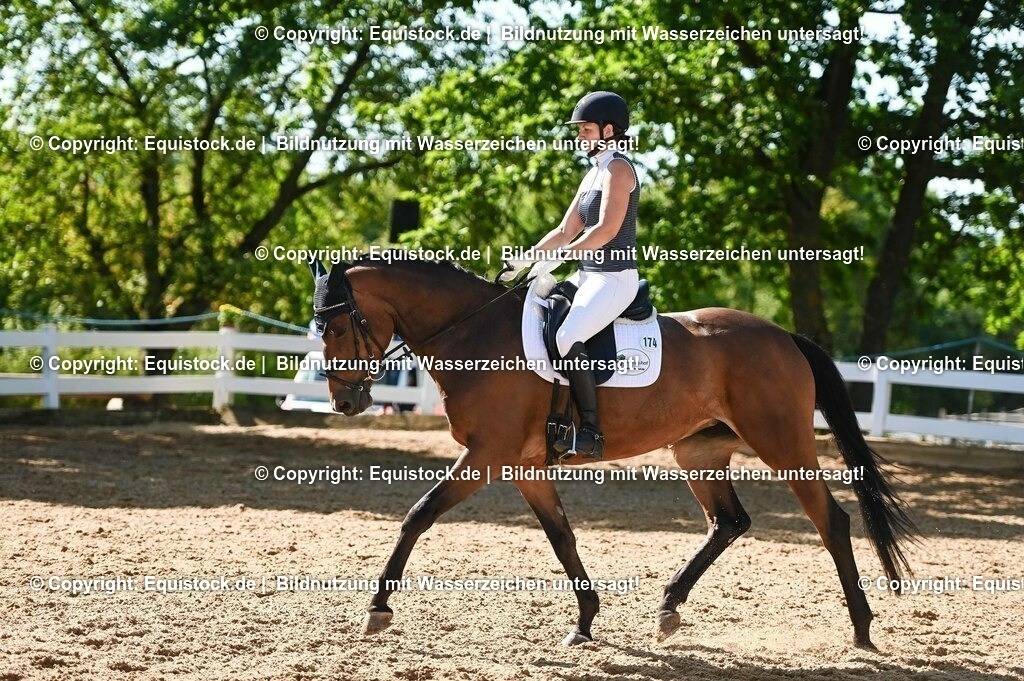 20230715_06_Dressurpferdeprfg. Kl.A_0397 | equistock