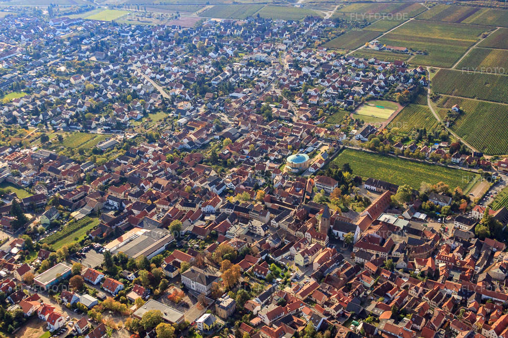 Luftbild: Innenstadt aus Süden im Ortsteil Mußbach in Neustadt im Bundesland Rheinland-Pfalz in Deutschland. Foto: IMG_22045.jpg vom 15.10.2009 durch Werner Riehm/FLY-FOTO.de