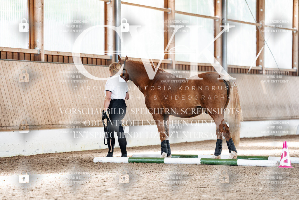 CK905569 | Turnierfotografie Pferdefotografie Trier Rheinland-Pfalz Pferdesport Reitsport Tierfotografie Sportfotografie Pferdevideo Pferdevideografie Equestrianvideography equestrianphotography  - Realisiert mit Pictrs.com
