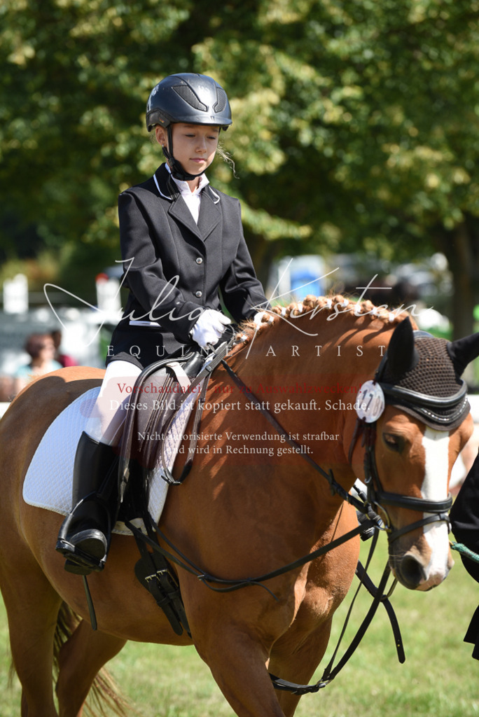 DSC_9680 | Pferde- und Turnierfotografie in Westsachsen. Pferdeportraits, Auftragszeichnungen und intuitive Kunst.