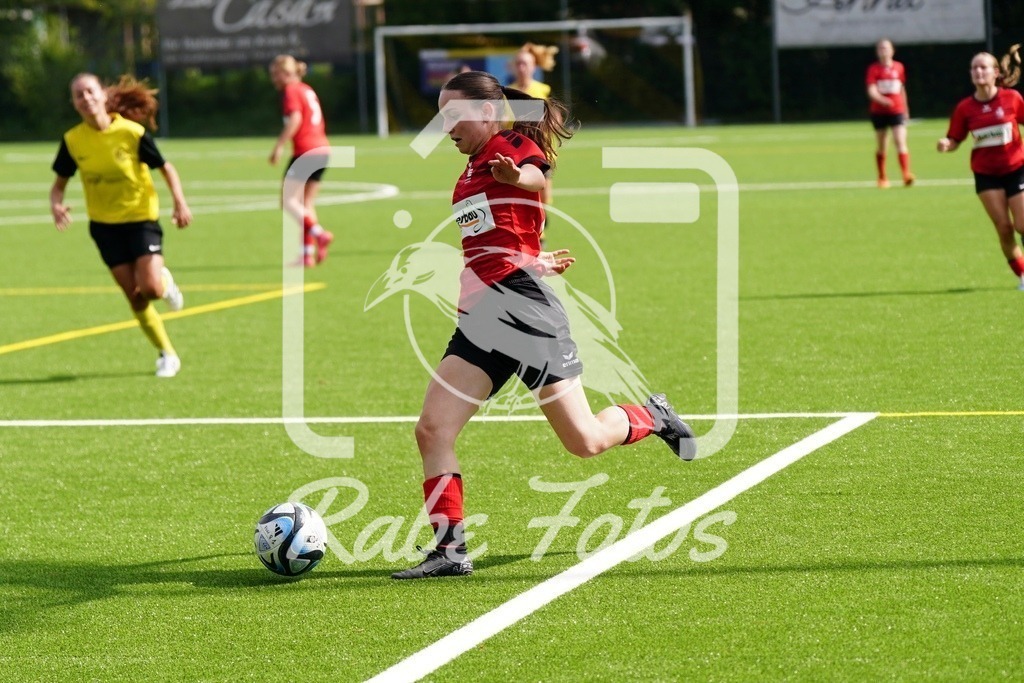 SON08868 | rabefotos