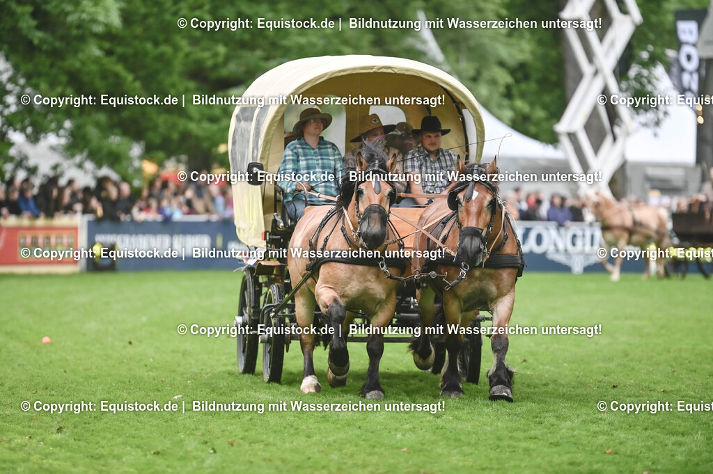 20240517_Lange-Pferdenacht_0171 | Foto: Thomas Hartig