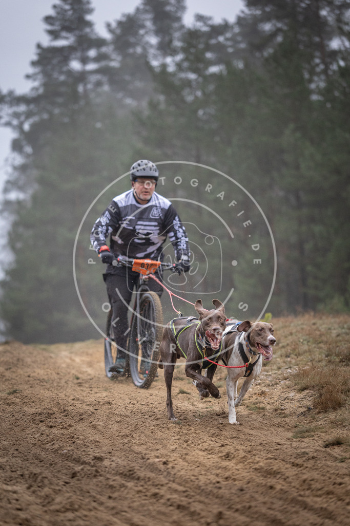 Pfotenfotografie_DV3A0852 | Hundefotografie, Tierfotograf, Pfotenfotografie, Fotoshooting Hund, Hunde Portrait, Hundesport, Hundeportraits, Heideshooting, Hunde, Sportfotograf, Hundefotograf, Turnierhundsport, THS,  - Realisiert mit Pictrs.com