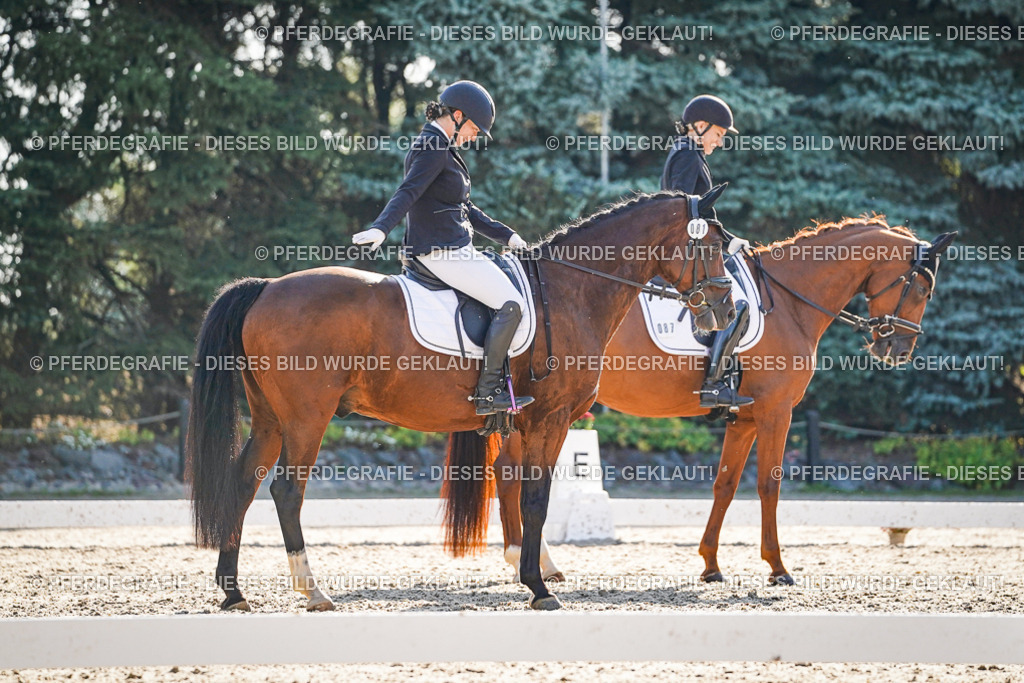 DSC09030 | Pferdegrafie