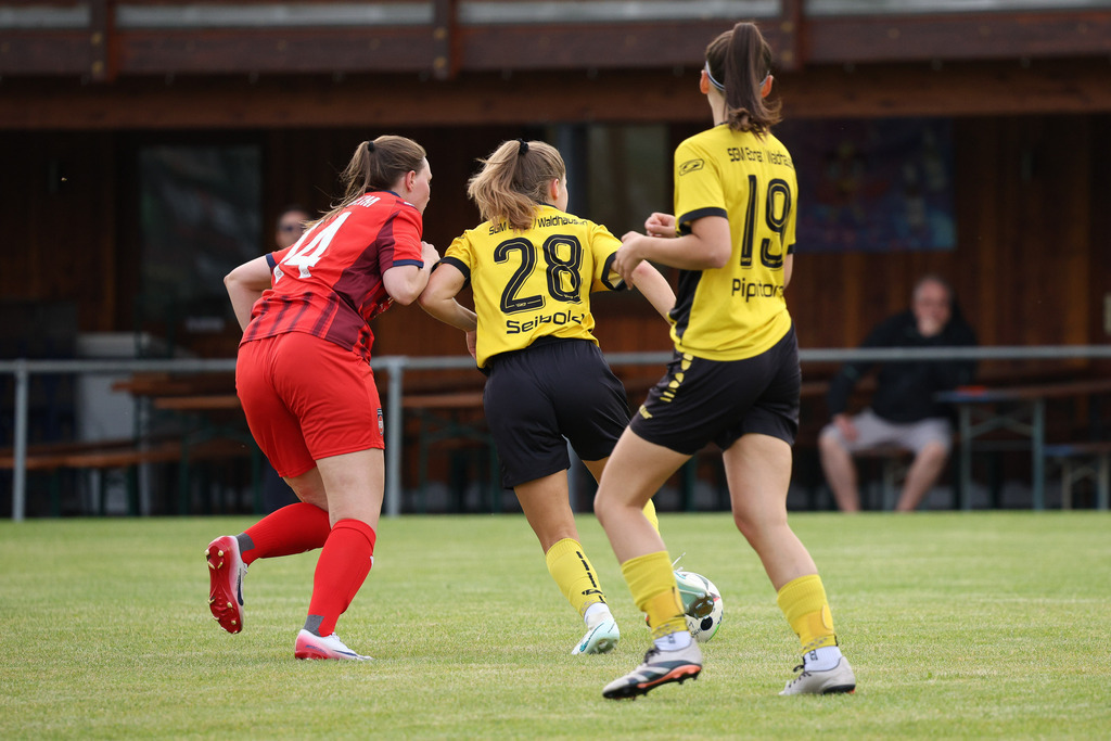 Fußball I FRAUEN I Saison 2025-2026 I Freundschaftsspiel I SGM Ebnat-Waldhausen - 1FC Heidenheim 1846 2 I_250823_3461 | Fotopresso – Sportfotografie in Heidenheim & Umgebung. Professionelle Sportfotografie für unvergessliche Momente. Dynamische Action-Shots, emotionale Szenen & hochwertige Bilder. - Realisiert mit Pictrs.com