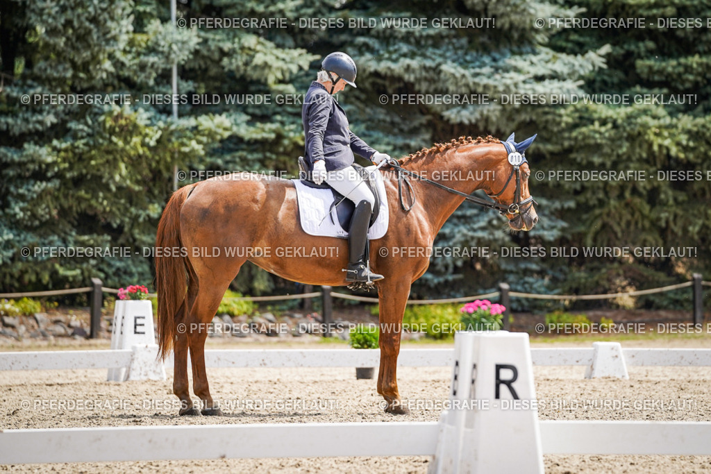 DSC00541 | Pferdegrafie