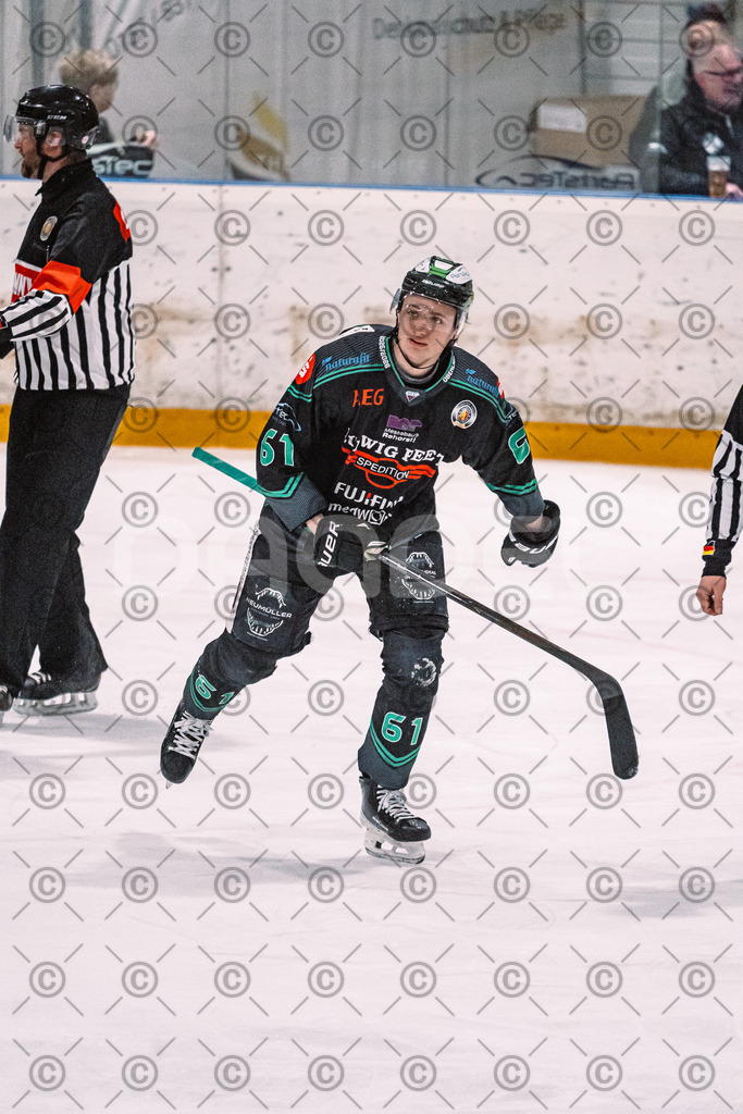 Alligators_vs_Heilbronn_08_02_2026-18 | Höchstadt Alligators Fotogalerie: Eishockey-Action aus Franken. Professionelle Spielfotos, Portraits & Stadionbilder zum Download. Jetzt entdecken! - Realisiert mit Pictrs.com