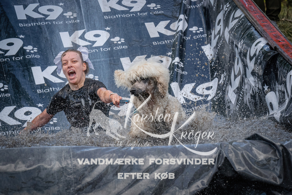 1555_ZZ91336 | kk-dogfotos