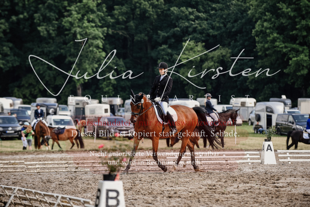 DSC_9762 | Pferde- und Turnierfotografie in Westsachsen. Pferdeportraits, Auftragszeichnungen und intuitive Kunst.