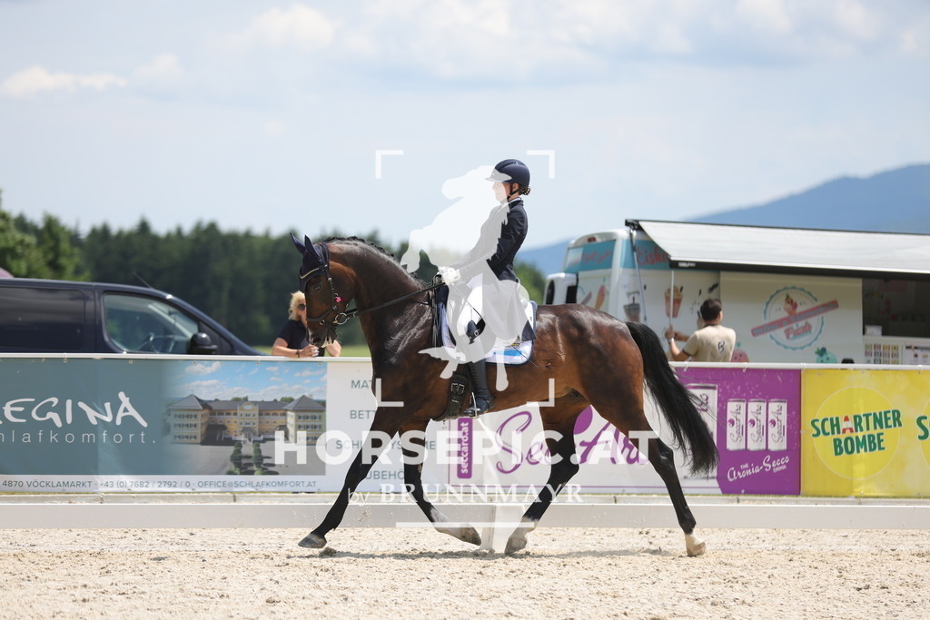 0P6A0464 | Willkommen bei Brunnmayr - Design & Fotografie – Ihrem Spezialisten für Reitturniere und Pferdeveranstaltungen in Oberösterreich, Salzburg und Bayern! Seit über 17 Jahren sind wir leidenschaftlich dabei.