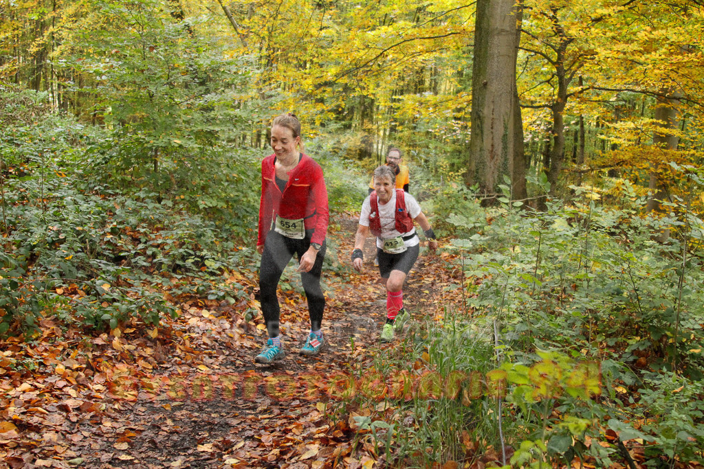 251026_1251_EV4_5964 | Sportfotografie im Rhein-Sieg Kreis, Köln, Bonn, NRW, Rheinland Pfalz, Hessen, etc. Unser Tätigkeitsfeld umfasst den Laufsport vom Volkslauf über den Marathon, Duathlon, Triathon bis zum Ultralauf wie Kölnpfad Ultra oder Schindertrail.