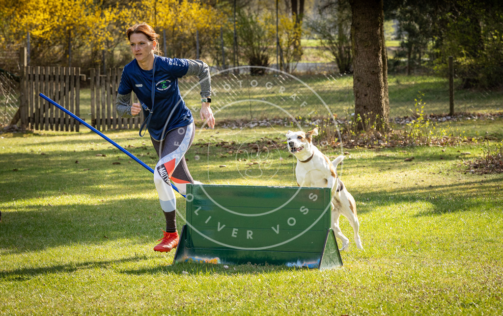Pfotenfotografie_DV3A1955 | Hundefotografie, Tierfotograf, Pfotenfotografie, Fotoshooting Hund, Hunde Portrait, Hundesport, Hundeportraits, Heideshooting, Hunde, Sportfotograf, Hundefotograf, Turnierhundsport, THS,  - Realisiert mit Pictrs.com