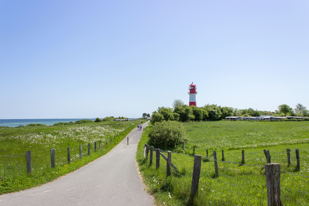 Wandbild: Weg zum Leuchtturm an der Ostsee in Falshöft  | Dieses Wandbild im Querformat zeigt einen der schönsten Leuchttürme in Rot und Weiß an der Ostseeküste im Frühling. Auf der linken Seite ist die Ostsee zu sehen und mittig befindet sich der Weg zum Leuchtturm. Holen Sie sich dieses idyllische Wandbild nach Hause in Ihr Wohnzimmer, Küche, Schlafzimmer oder in Ihre Ferienwohnung, Büro, den Arbeitsplatz oder Ihre Praxis. Es ist als Leinwand, als Acrylglas/Glasbild und Aluminium-Platte in vielen Abmessungen erhältlich. - Realisiert mit Pictrs.com