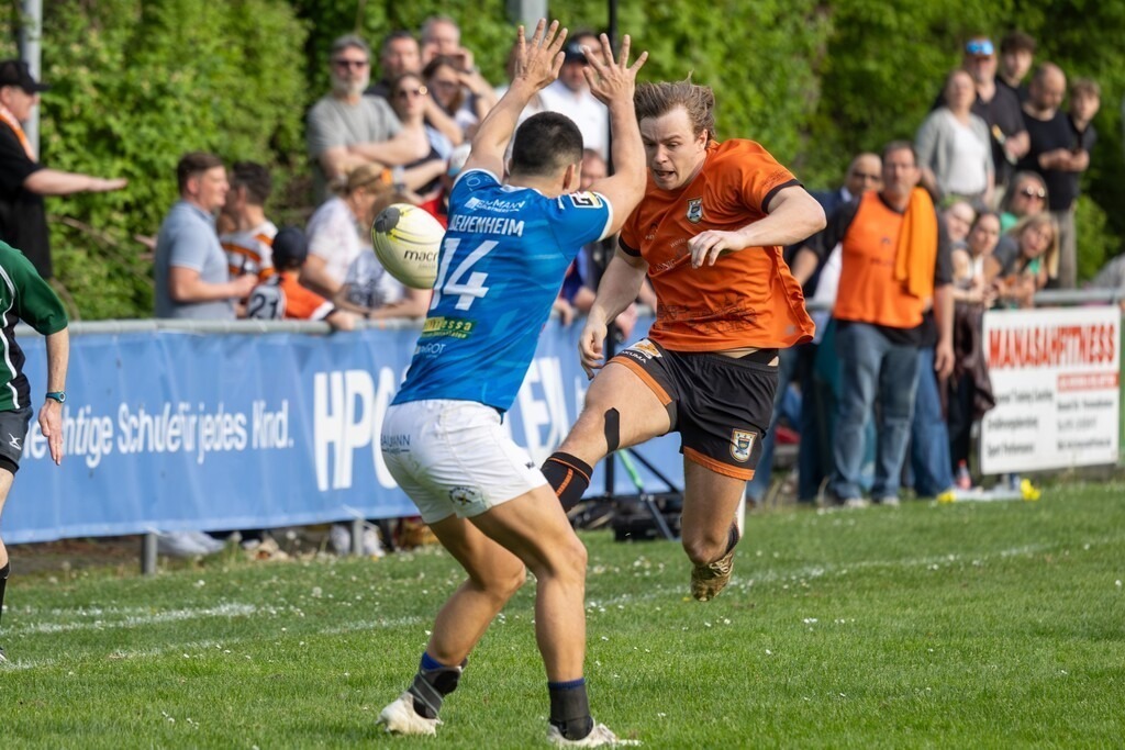Rugby Bundesliga, Saison 2025/26, 14. Spieltag: SC Neuenheim gegen RG Heidelberg | Rugby Bundesliga, Saison 2025/26, 14. Spieltag: SC Neuenheim gegen RG Heidelberg - Realisiert mit Pictrs.com