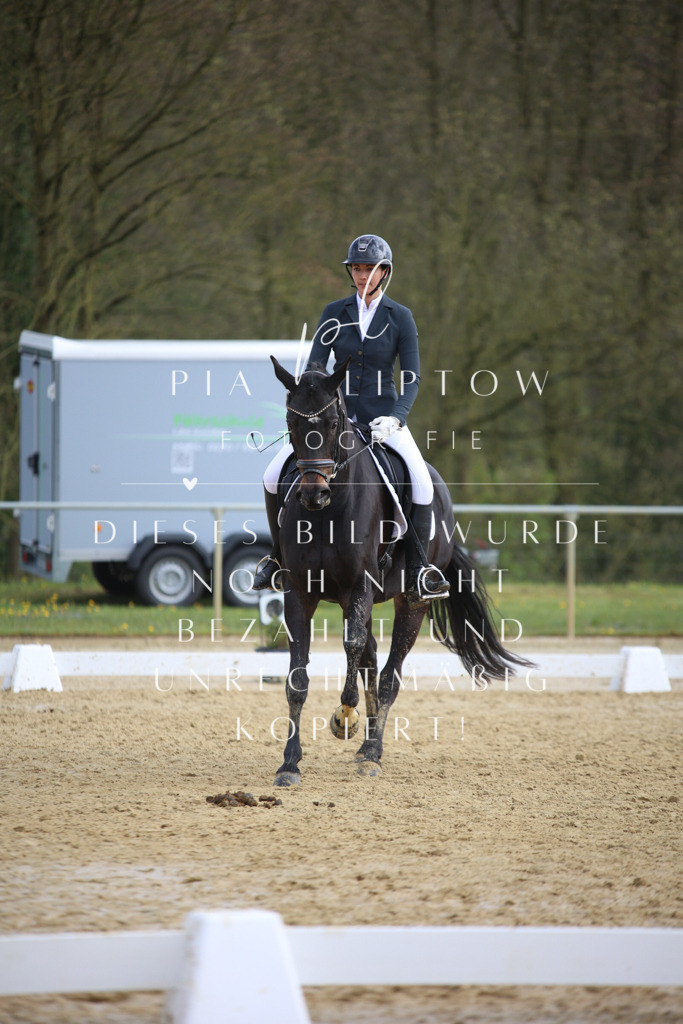 IMGT6410 | pl-fotografie