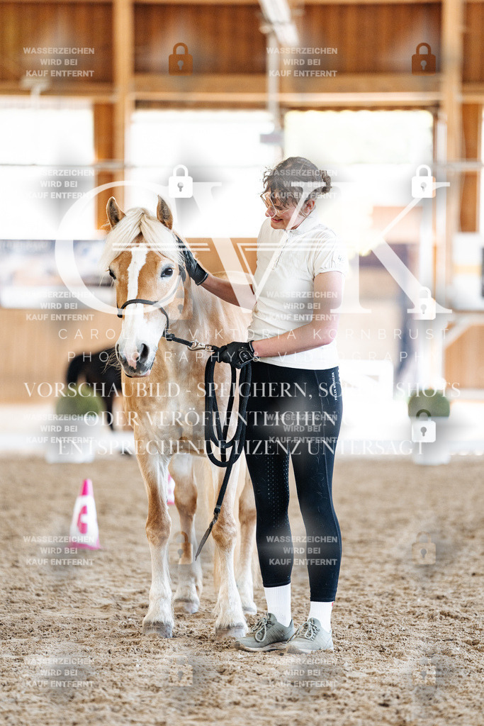 CK907346 | Turnierfotografie Pferdefotografie Trier Rheinland-Pfalz Pferdesport Reitsport Tierfotografie Sportfotografie Pferdevideo Pferdevideografie Equestrianvideography equestrianphotography  - Realisiert mit Pictrs.com