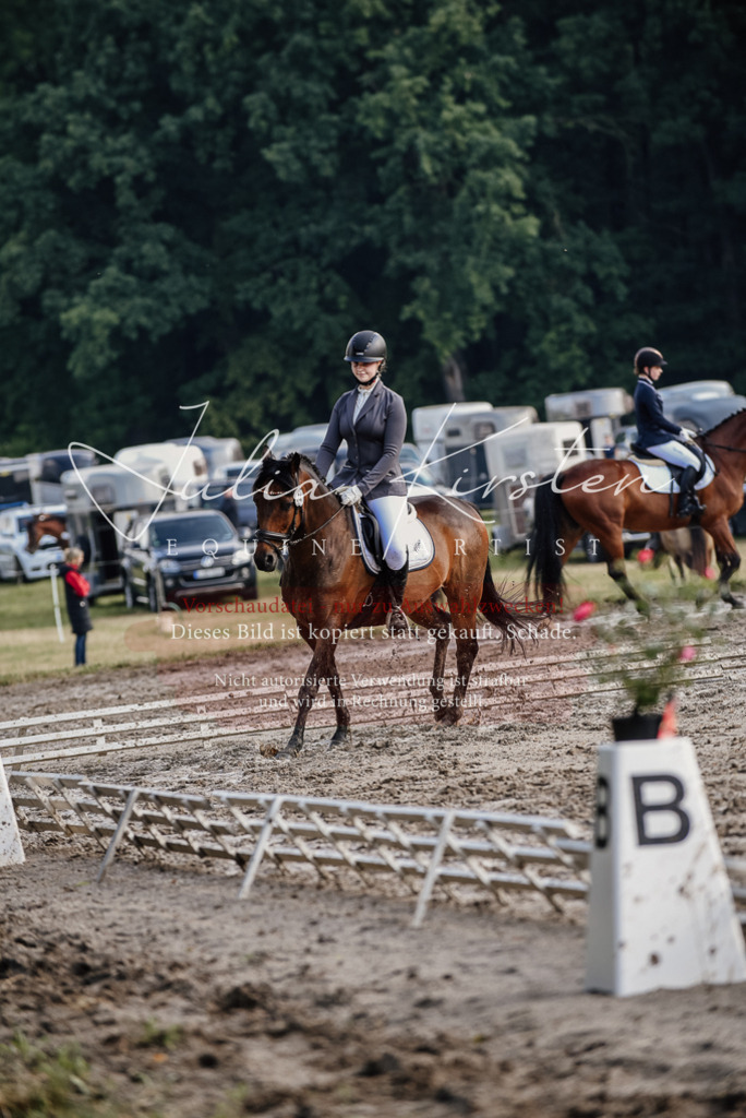DSC_8376 | Pferde- und Turnierfotografie in Westsachsen. Pferdeportraits, Auftragszeichnungen und intuitive Kunst.