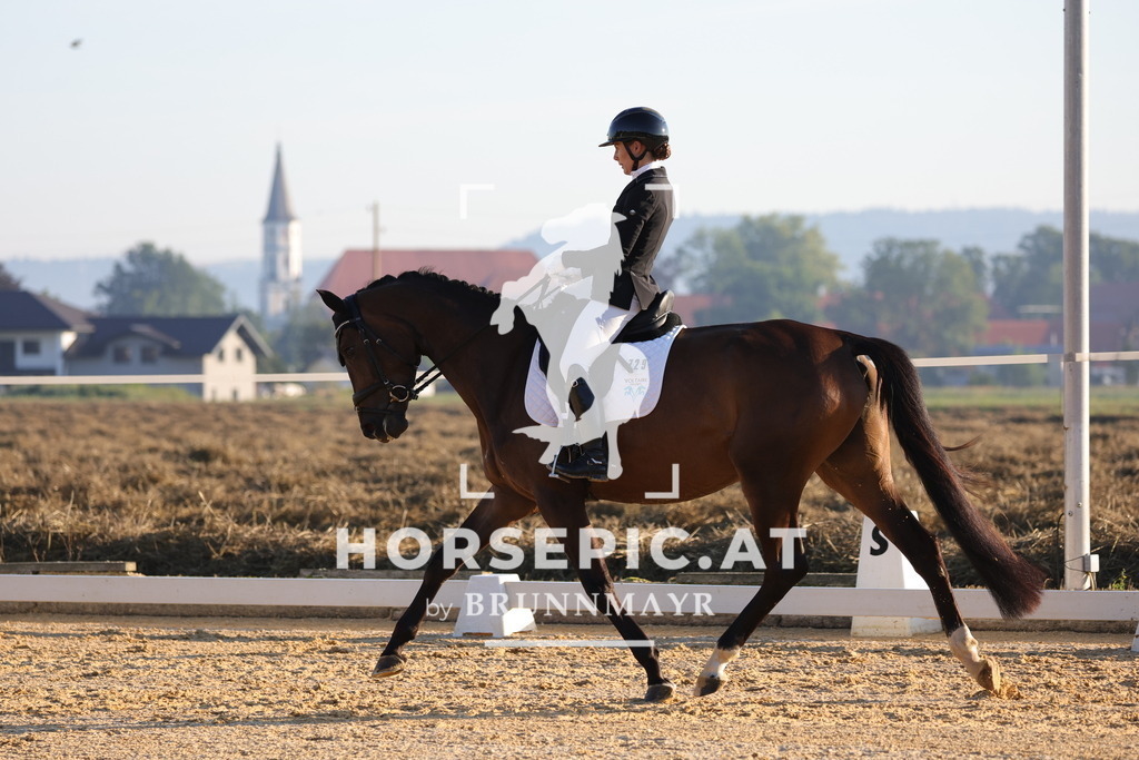0P6A6543 | Willkommen bei Brunnmayr - Design & Fotografie – Ihrem Spezialisten für Reitturniere und Pferdeveranstaltungen in Oberösterreich, Salzburg und Bayern! Seit über 17 Jahren sind wir leidenschaftlich dabei.