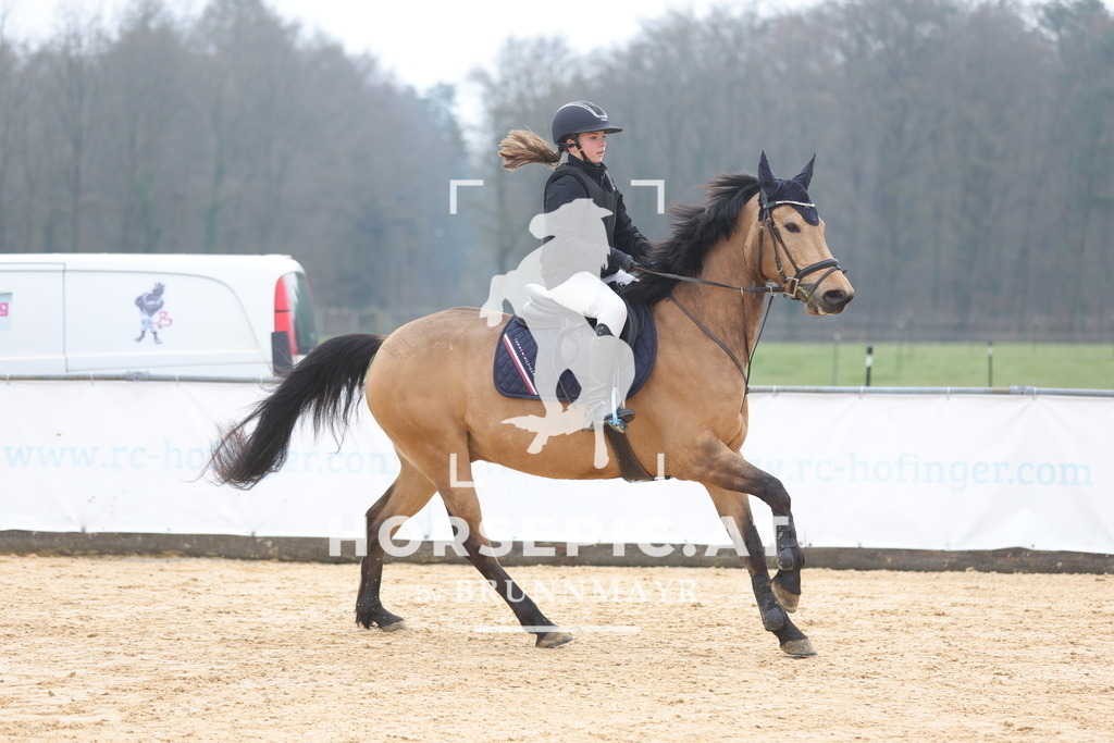 0P6A8808 | Willkommen bei Brunnmayr - Design & Fotografie – Ihrem Spezialisten für Reitturniere und Pferdeveranstaltungen in Oberösterreich, Salzburg und Bayern! Seit über 17 Jahren sind wir leidenschaftlich dabei.