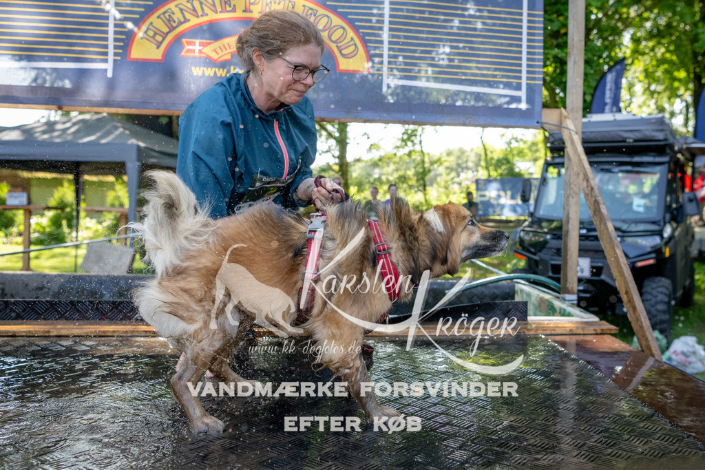 1540_ZZ92735 | kk-dogfotos