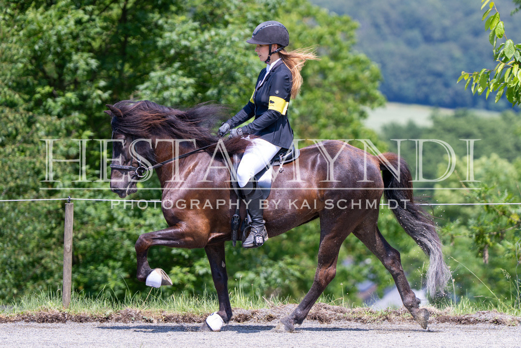 KAI03970 | Ihr sucht einen Fotografen für eure nächste OSI? Ich begleite auch euer Turnier für Islandpferde fotografisch.  - Realisiert mit Pictrs.com