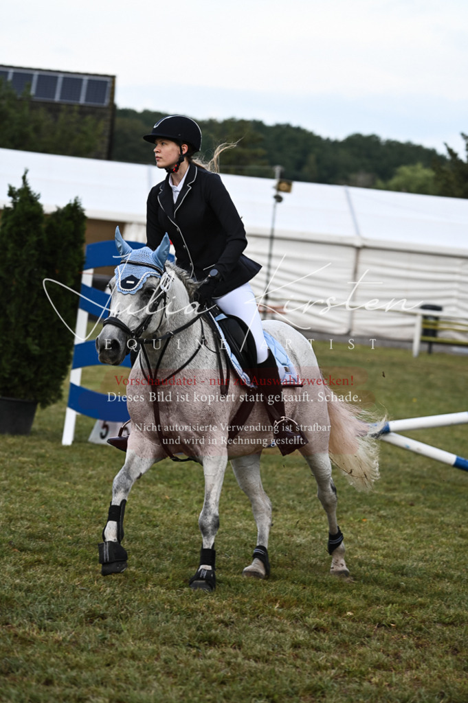 DSC_5529 | Pferde- und Turnierfotografie in Westsachsen. Pferdeportraits, Auftragszeichnungen und intuitive Kunst.